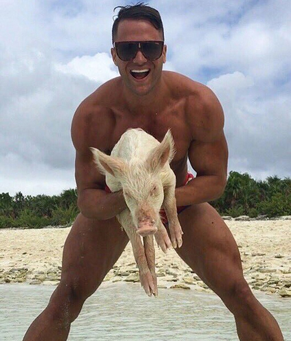 Un canario en busca del amor