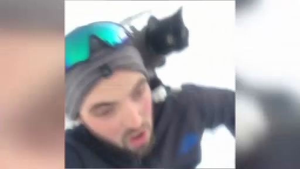 Winston, el gato que monta en trineo por la nieve junto a su dueño