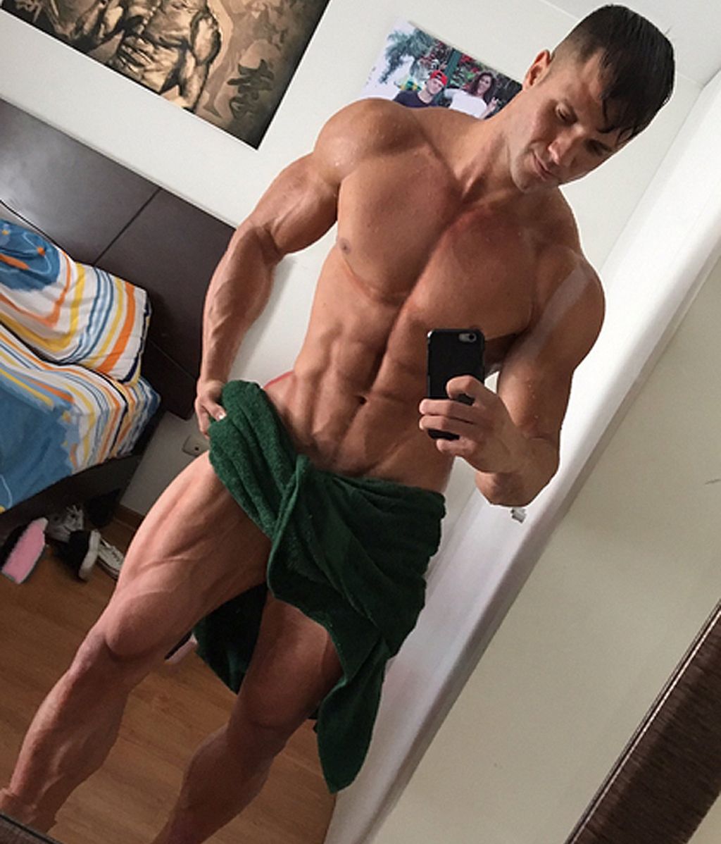 Un canario en busca del amor