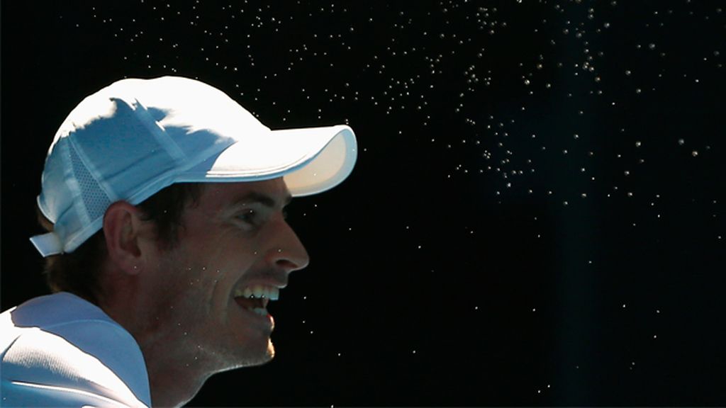 andy murray