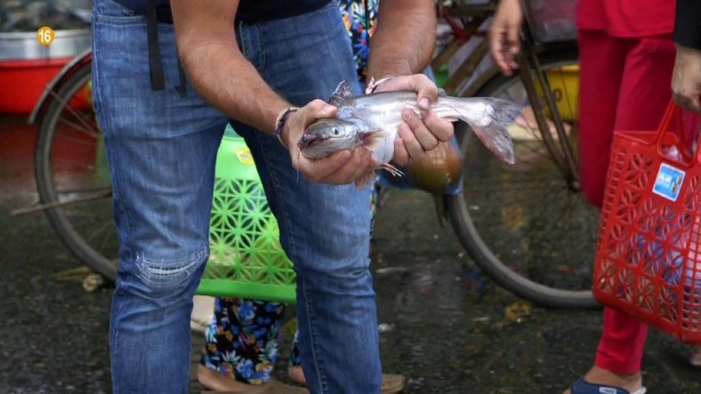 ¿Por qué el panga es el pescado más barato del mundo?
