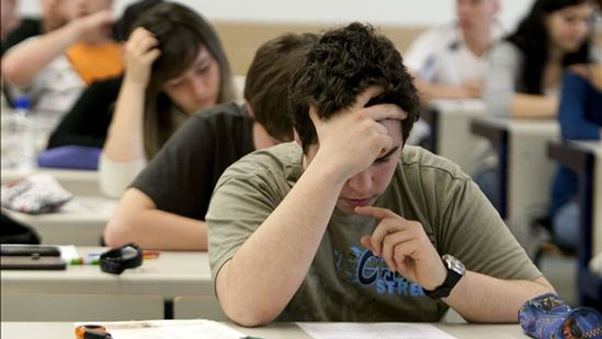 Un estudiante concentrado en su examen. EFE/Archivo