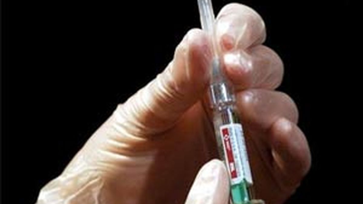 En 2012 España tendrá su propia planta de fabricación de vacunas para la gripe.