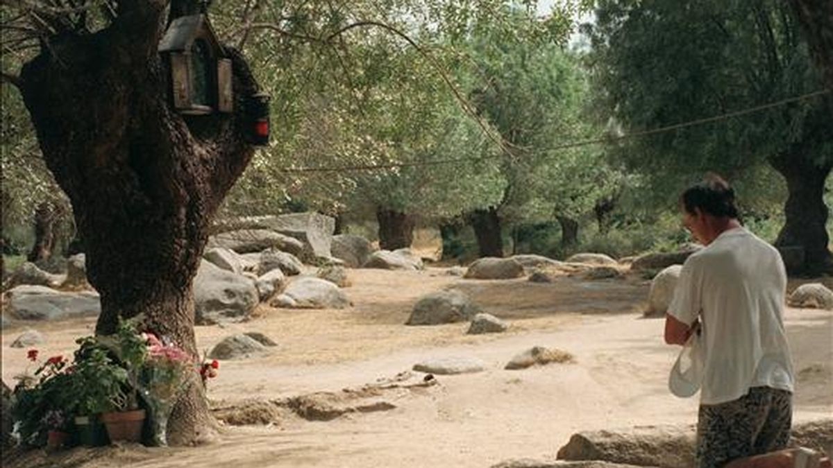 Un creyente reza de rodillas ante el árbol, situado en la finca Prado Nuevo, en el que supuestamente se aparece la Virgen del Escorial. EFE/Archivo