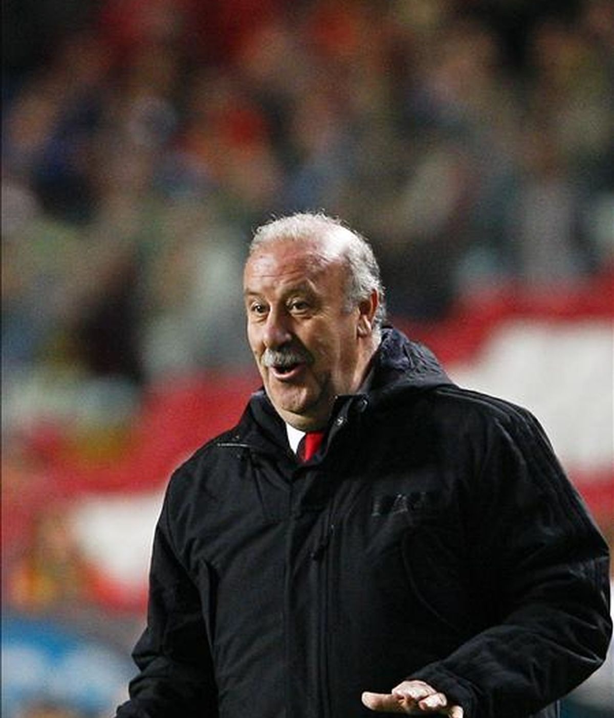 El entrenador de la selección española, Vicente del Bosque. EFE/Archivo