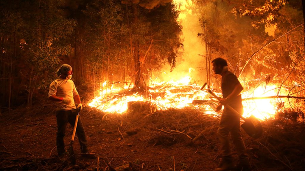 Chile arde por los fuegos forestales