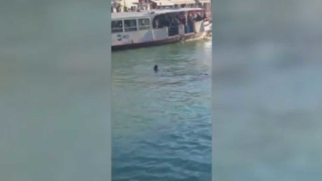 Un inmigrante se suicida en un canal de Venecia y nadie hace nada para salvarlo