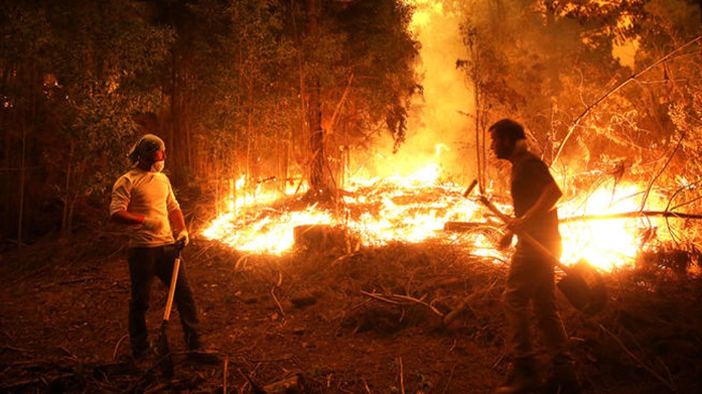 Chile arde por los fuegos forestales