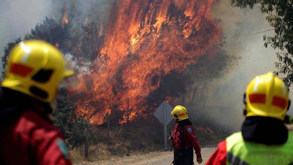 Miles de hectáreas de viñedos arrasados por las llamas en Chile