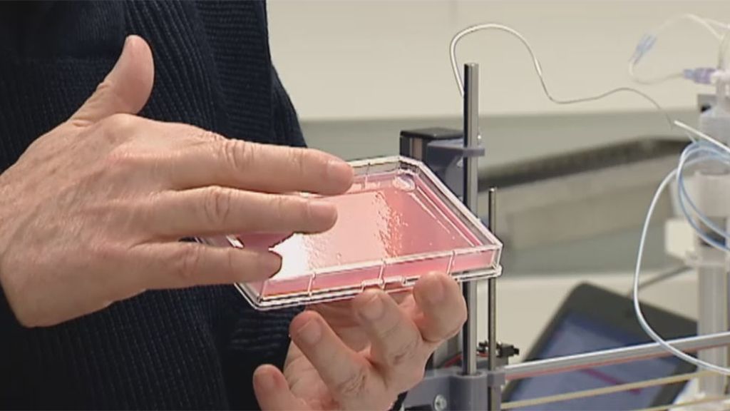 Un laboratorio español logra imprimir piel humana