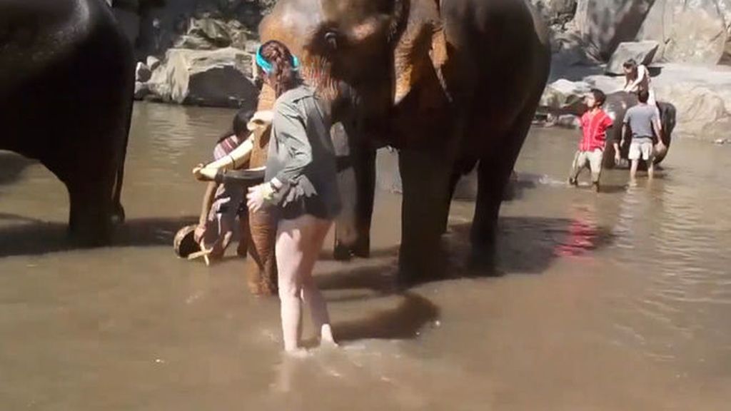 Su sueño era estar con elefantes, pero no salió del todo bien