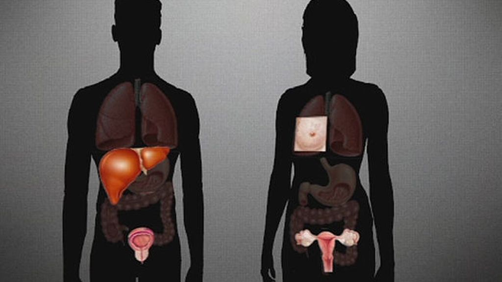 Casos curables e incurables, y cómo evitarlos, la radiografía del cáncer en España