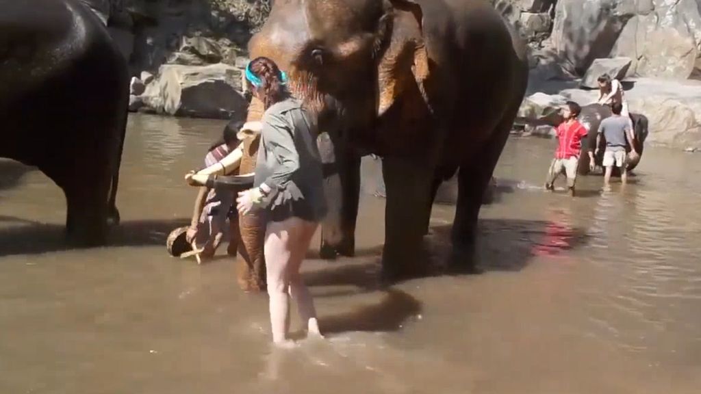 Su sueño era estar con elefantes, pero no salió del todo bien
