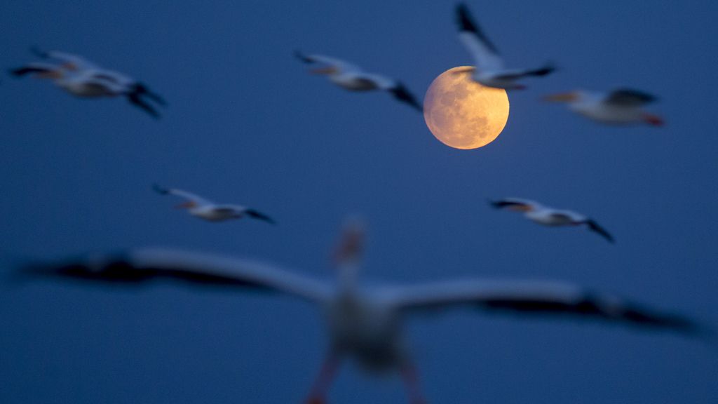 Luna de nieve atenuada por el eclipse solar vista desde México