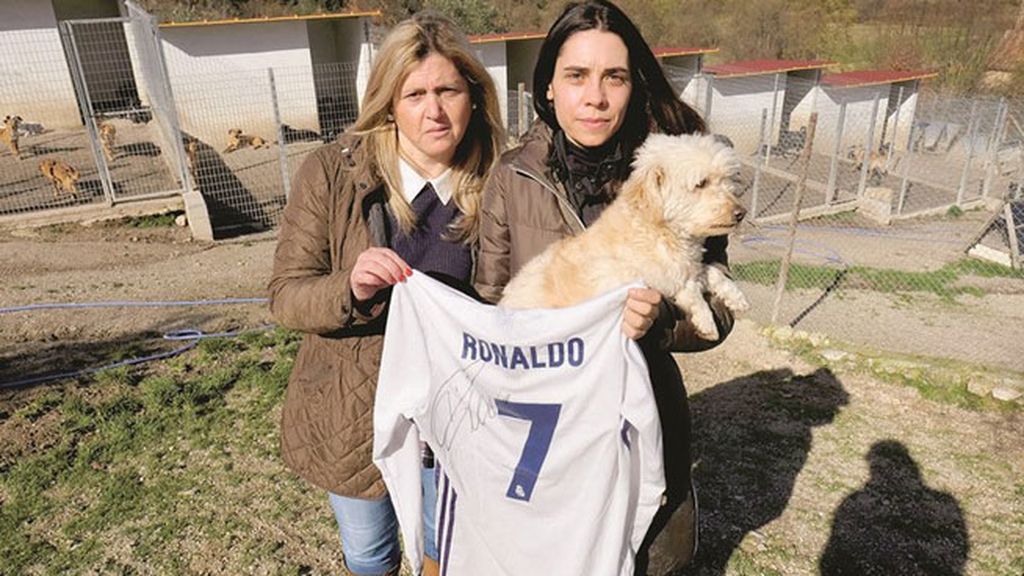 Cristiano Cristiano