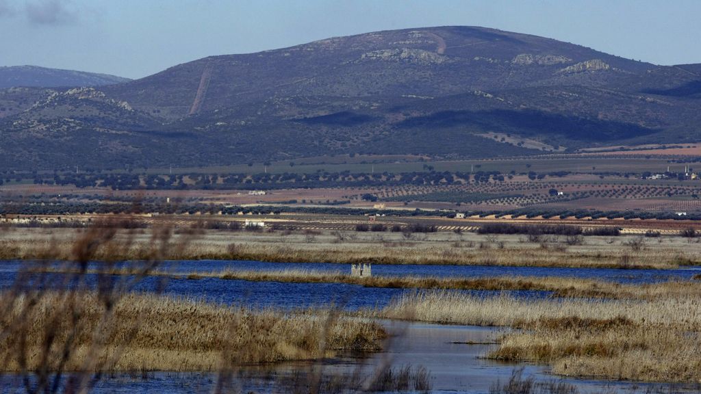 Parque Nacional de las Tablas de Daimiel (Ciudad Real)