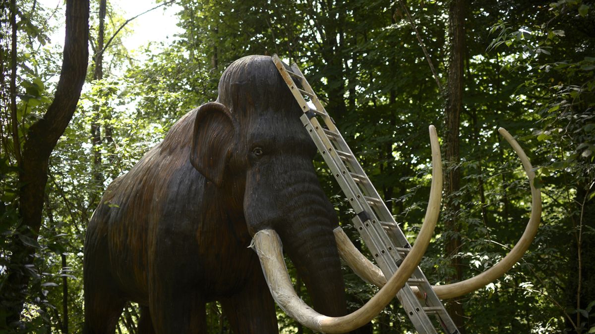 La ciencia podría haber descubierto cómo resucitar al mamut lanudo
