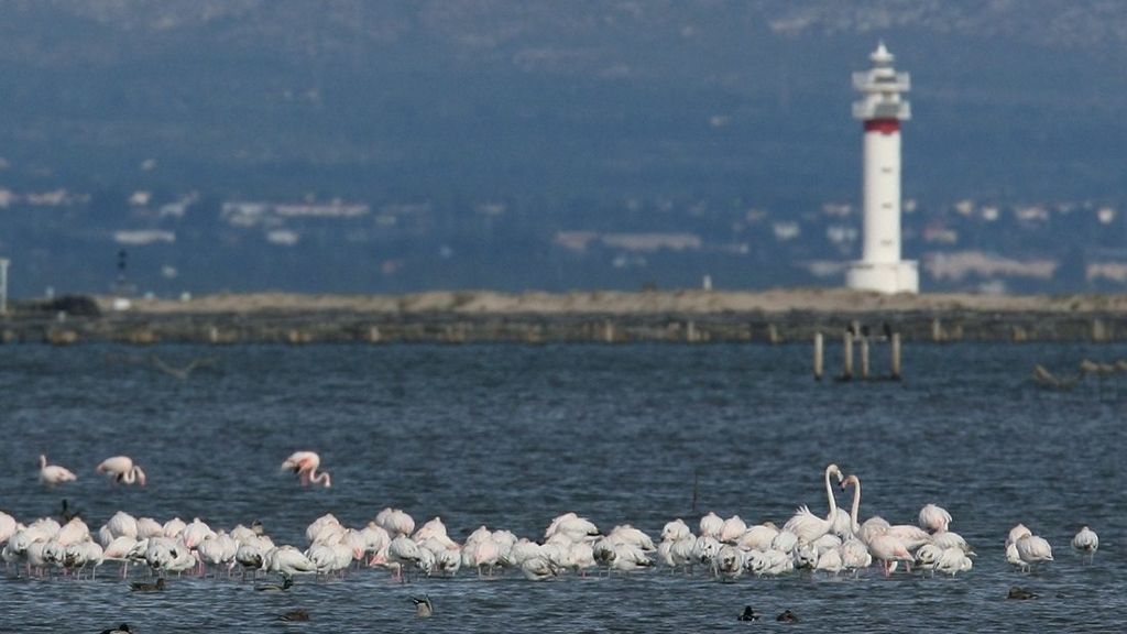 Parque Natural del Delta del Ebro (Tarragona)