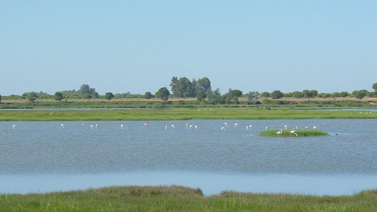 Parque Nacional de Doñana (Huelva)