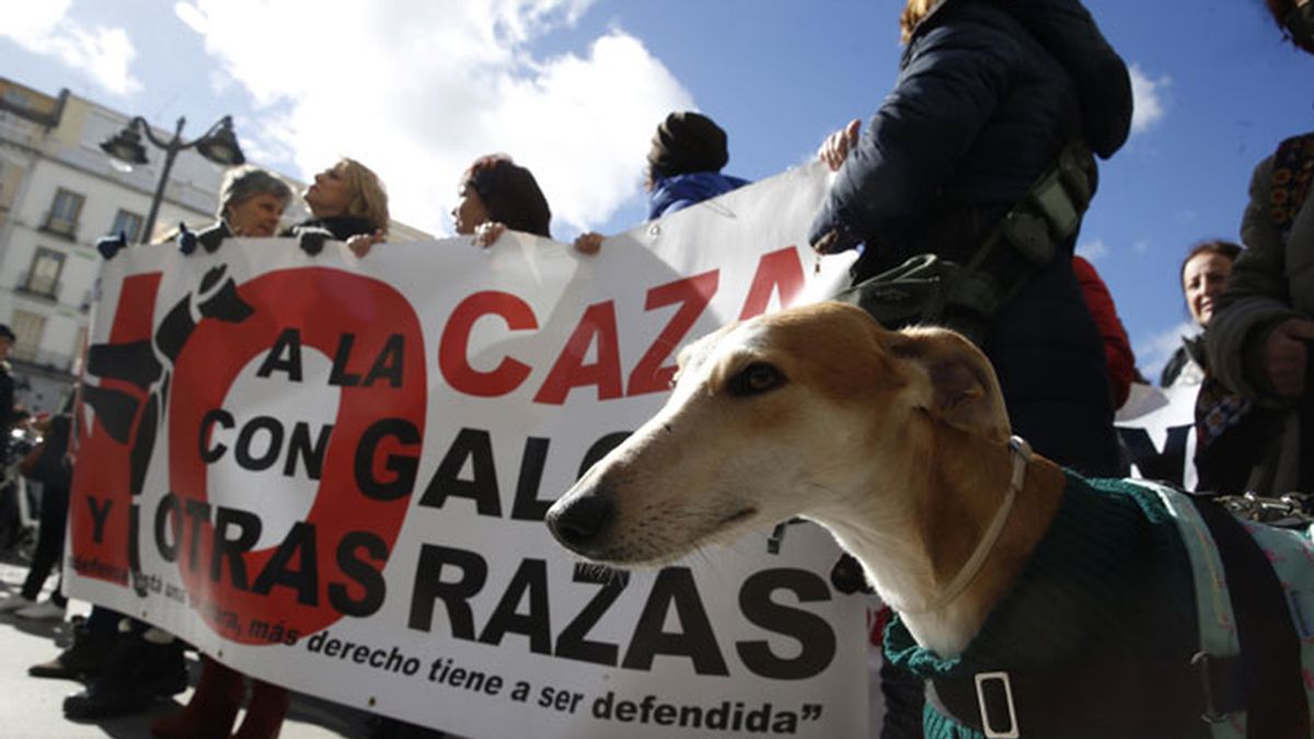 Una manifestación pide en Madrid que se prohíba la caza con perros