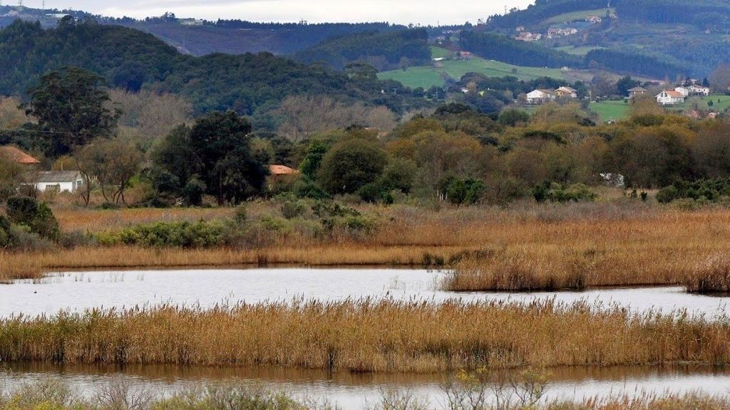 Parque Natural de las Marismas de Santoña, Victoria y Joyel (Santander)