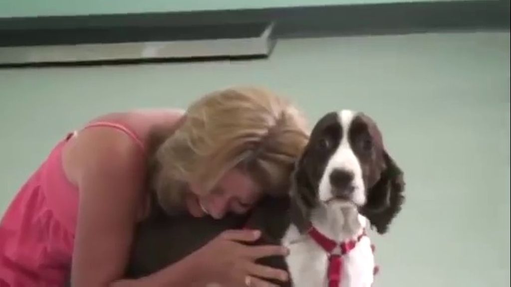 Llora de emoción y alegría al ver a su perro andar y correr de nuevo tras una operación