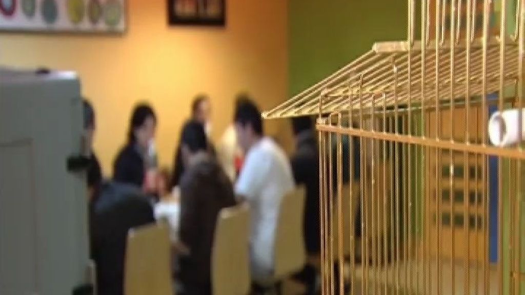 El niño agresor del Instituto Joan Fuster ingresará en un centro especial para menores