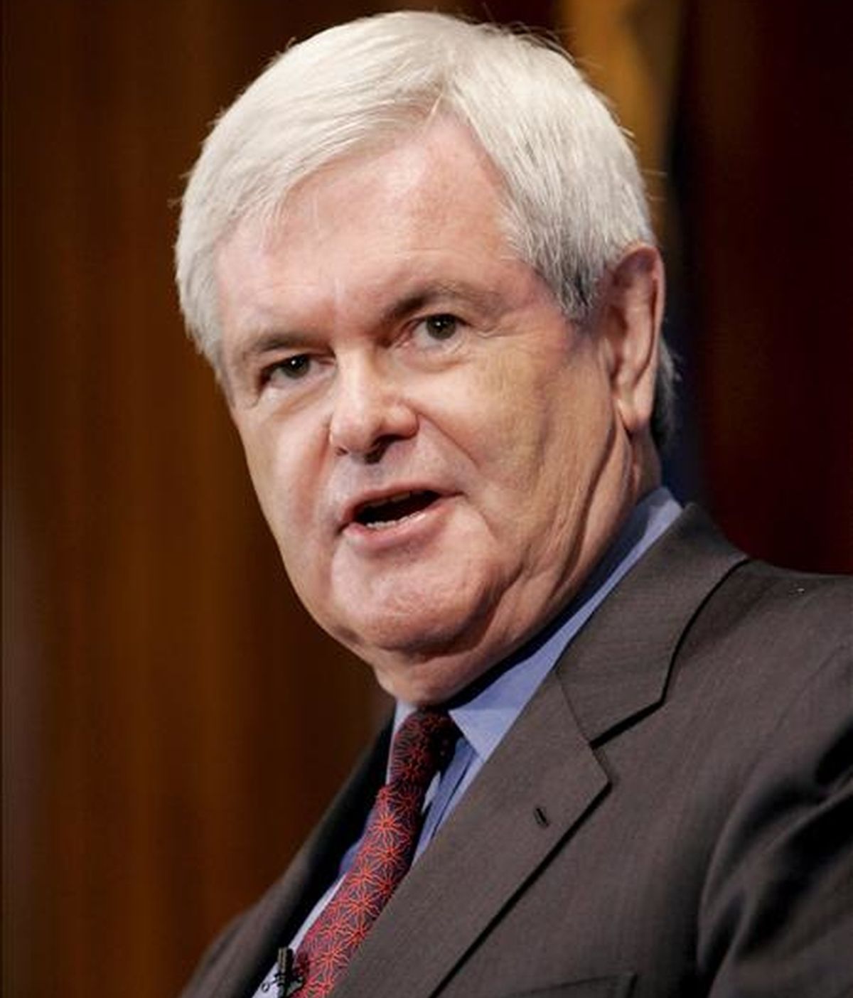 Las palabras de Gingrich han sentado mal entre algunos republicanos, en unos momentos en que su partido ha perdido apoyo entre las minorías. EFE/Archivo