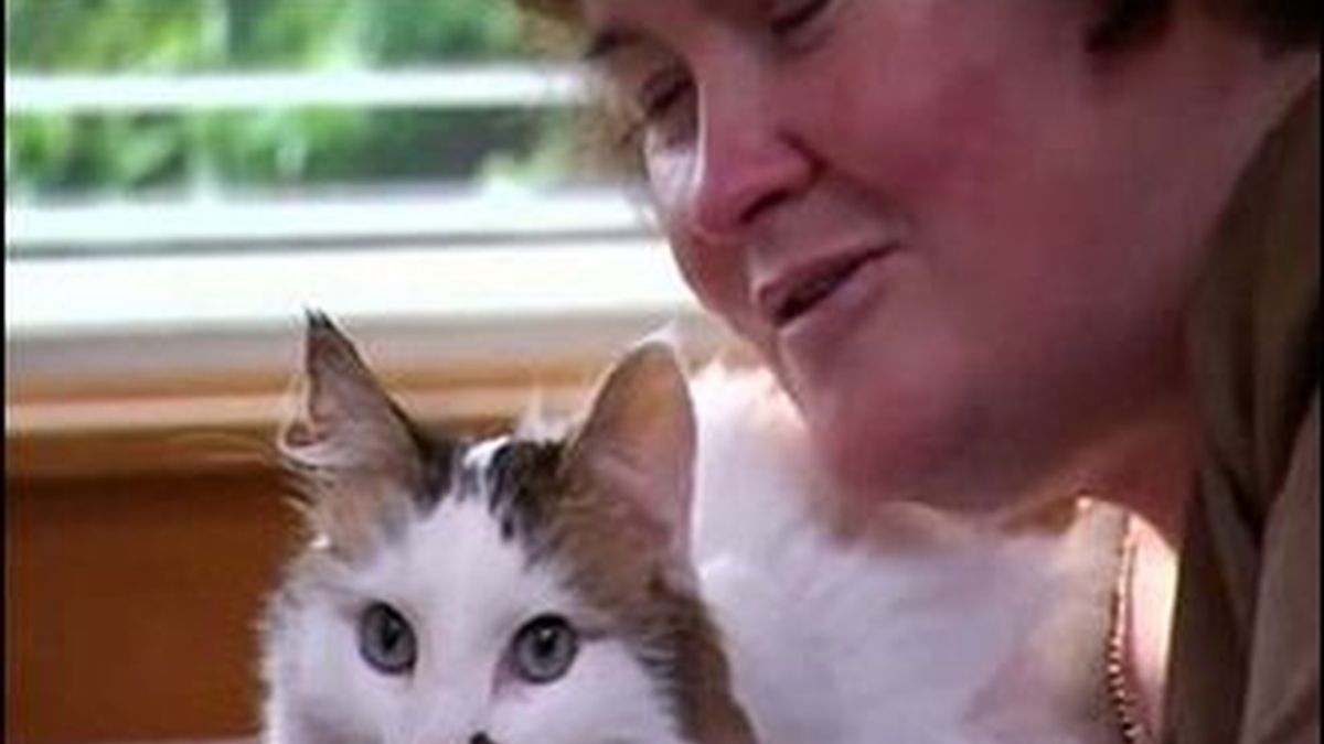 Susan Boyle no ha comprado su lujoso apartamento hasta que confirmaron que podía habitarlo con su gato Pebbles, en la foto.