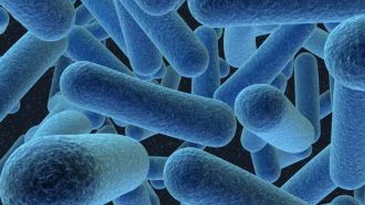 Un grupo de científicos chinos ha conseguido usar una bacteria como contenedor de datos. Foto archivo superbacteria resistente a los antibióticos.