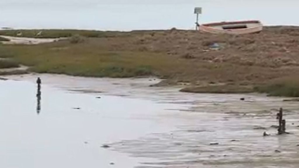 Cádiz celebra el día de los humedales