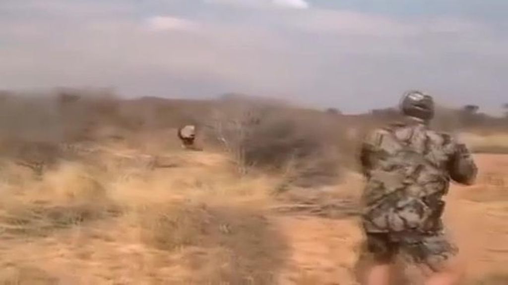 Matan a un león justo cuando iban a ser atacados por el animal