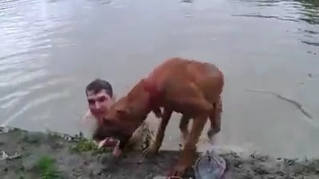 Así es la reacción de un perro que cree que su dueño se está ahogando