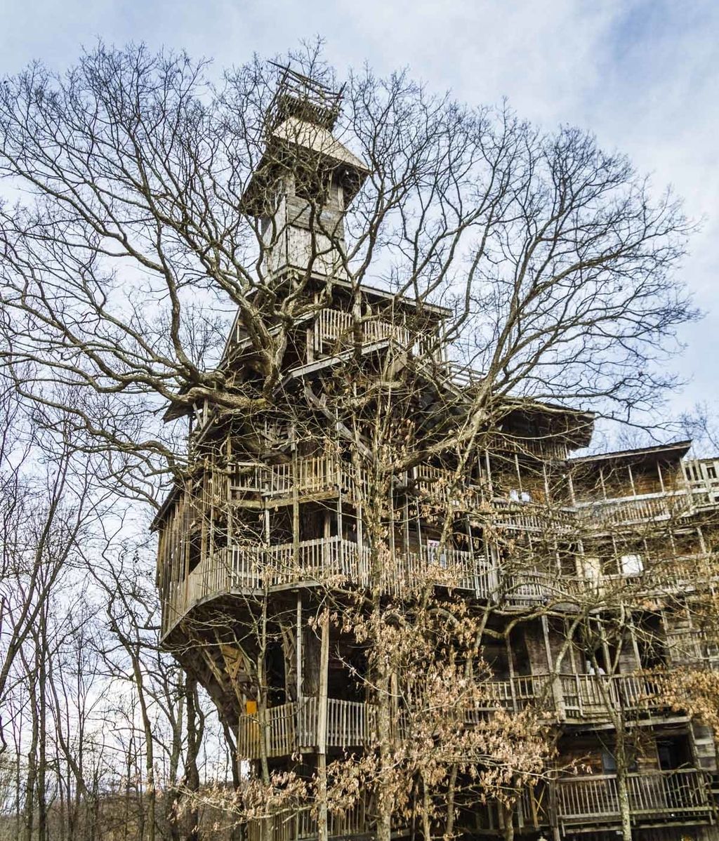 La casa del árbol más grande del mundo