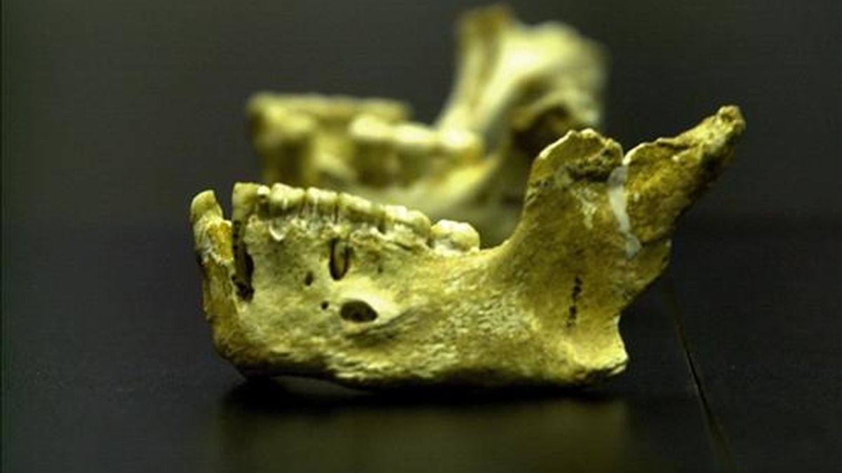 La variación demográfica de los neandertales posiblemente fue un resultado indirecto de las condiciones climáticas en su territorio durante el Pleistoceno, según las antropólogas. EFE/Archivo