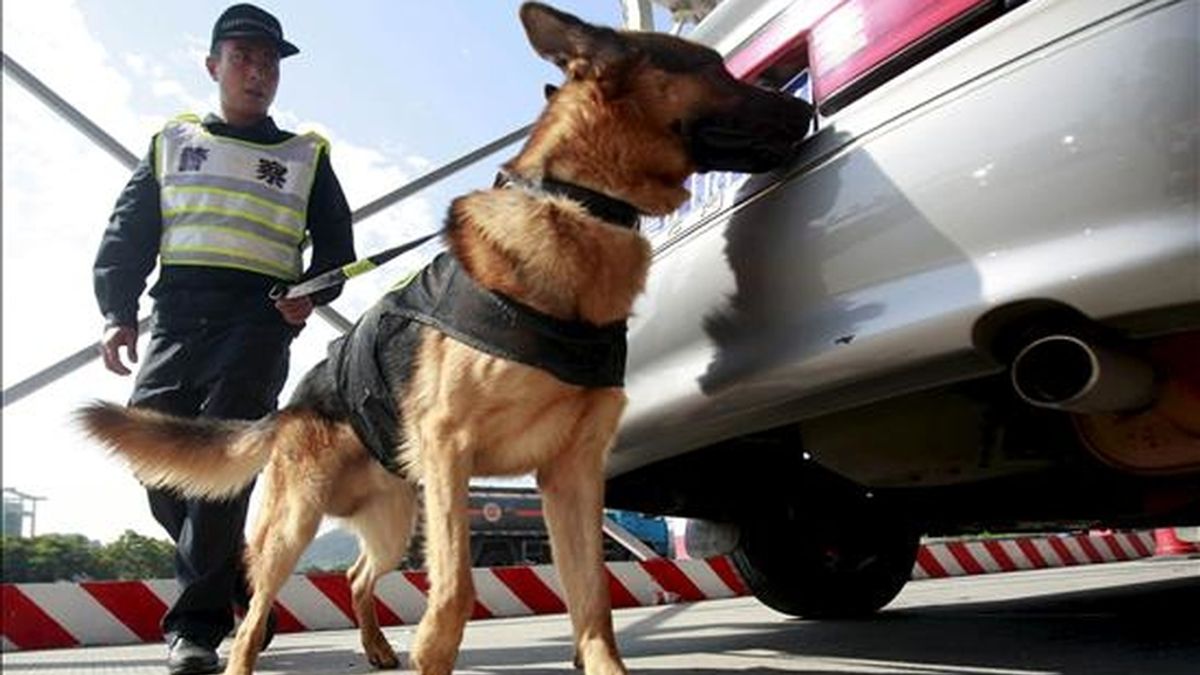 Un policía chino con un perro policía inspeccionan un coche en un control. EFE/Archivo