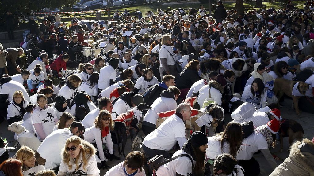 Más de 700 madrileños celebran 'a cuatro patas' la Sanperrestre