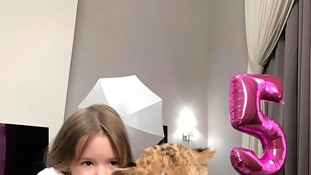 Regala león a su hija Regala león a su hija