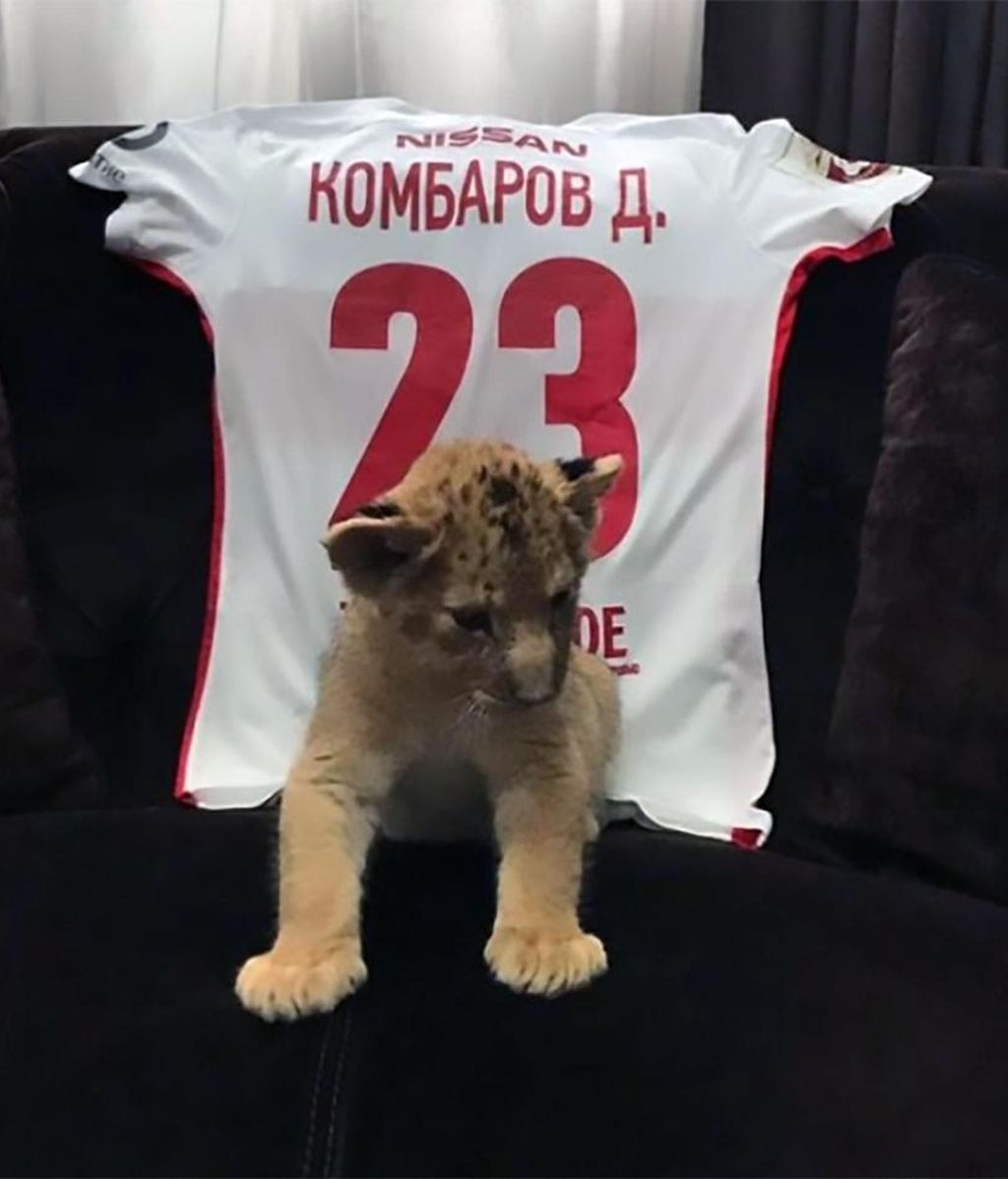 regala león a su hija