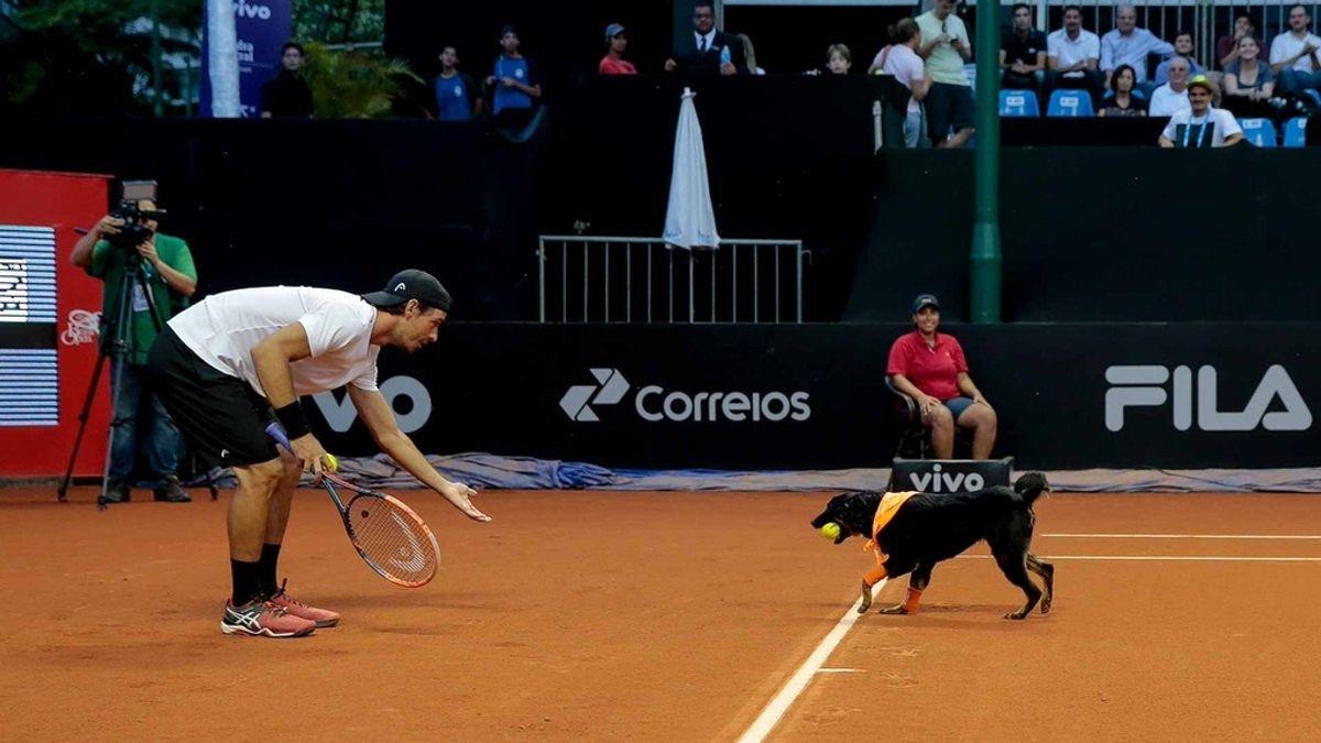 Tenis, Abierto de Brasil Tenis, Abierto de Brasil