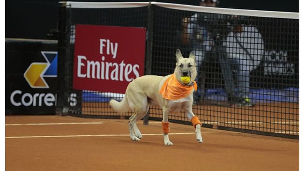 Tenis, Abierto de Brasil