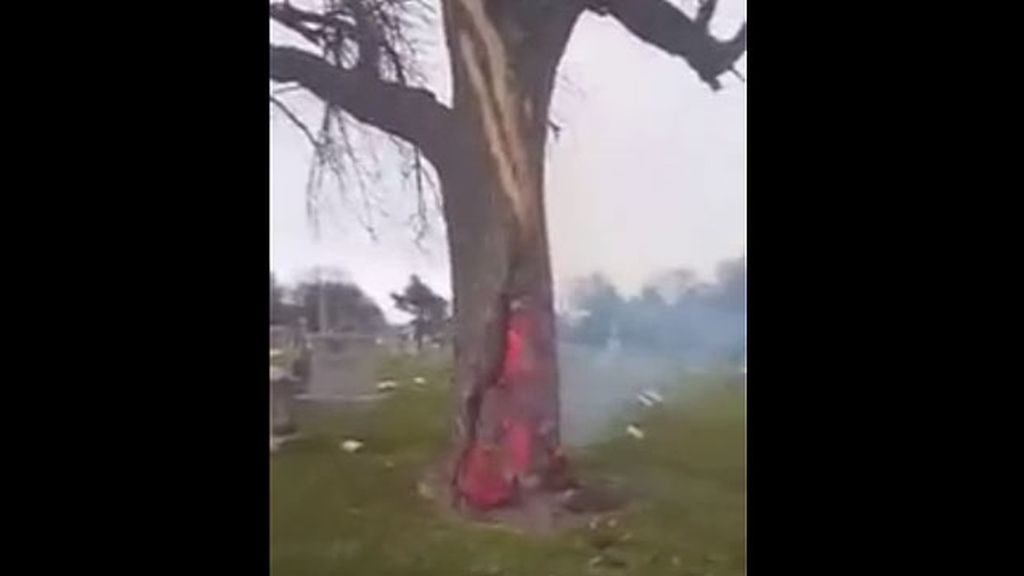 El espectacular incendio de un árbol horas después de caerle un rayo