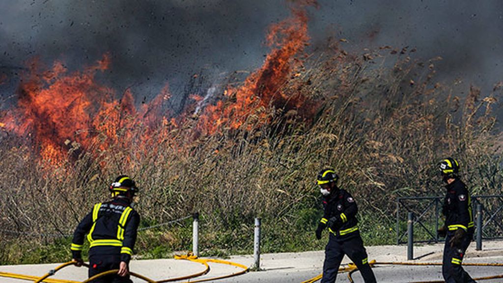 Un incendio en una zona protegida de Ibiza amenaza el centro de la ciudad