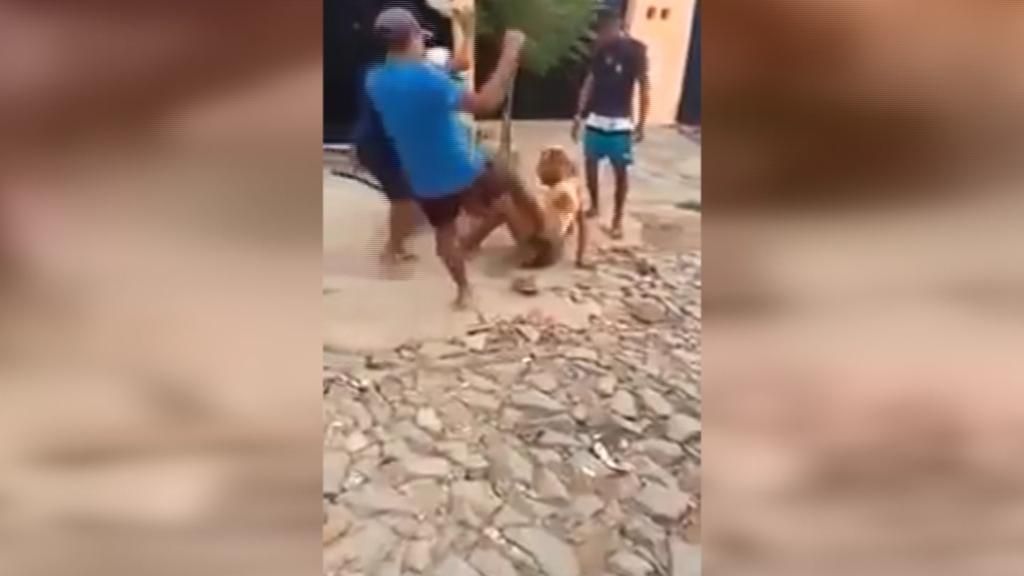 Matan a golpes a un travesti en Brasil