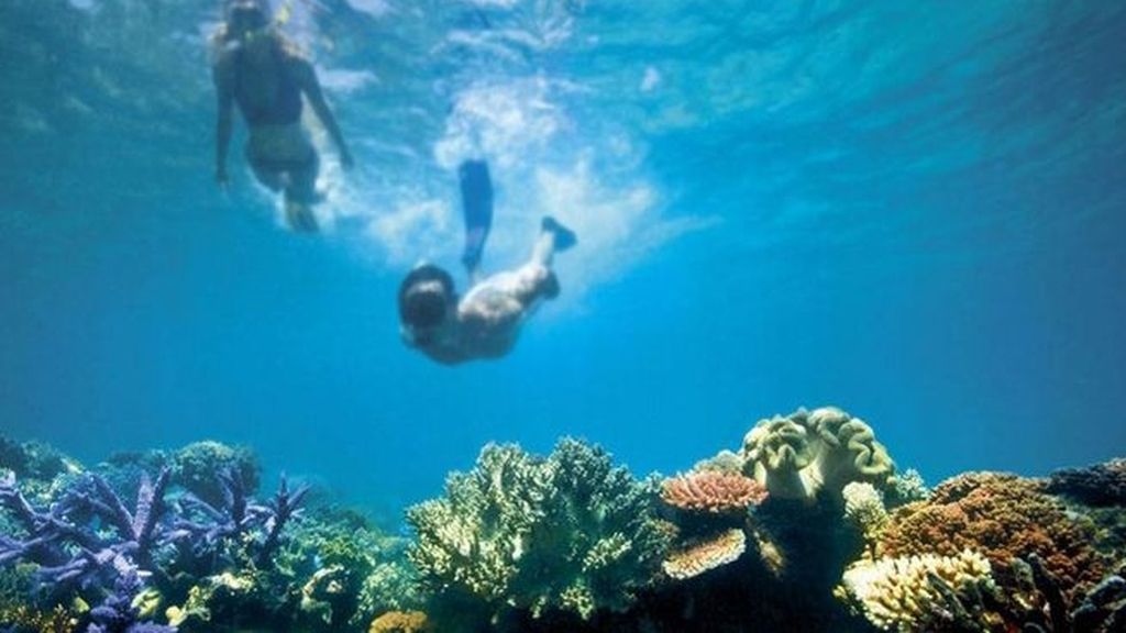El cambio climático pone en peligro la gran barrera de coral en Australia