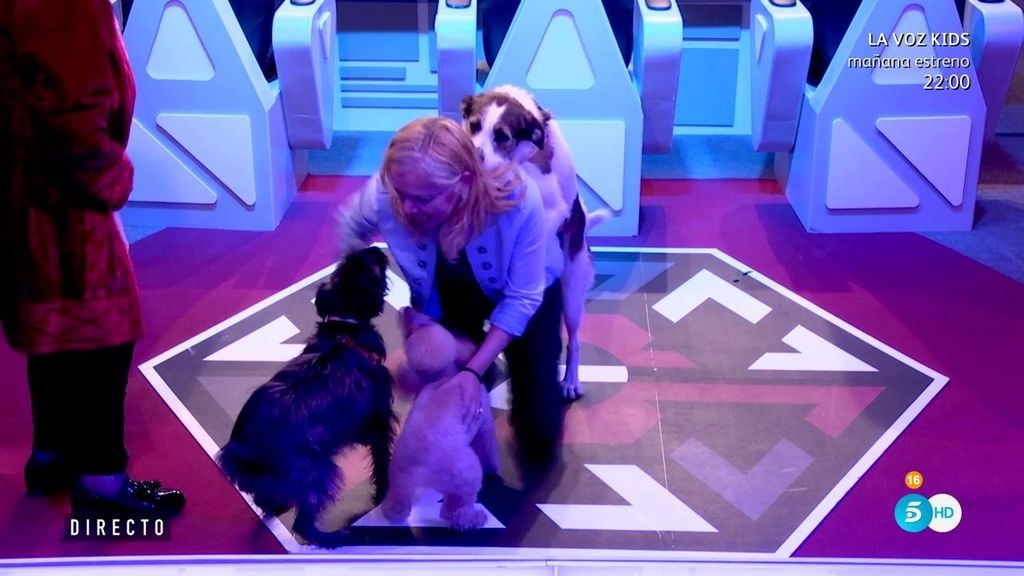 El 'apasionado' reencuentro de Emma con sus perros