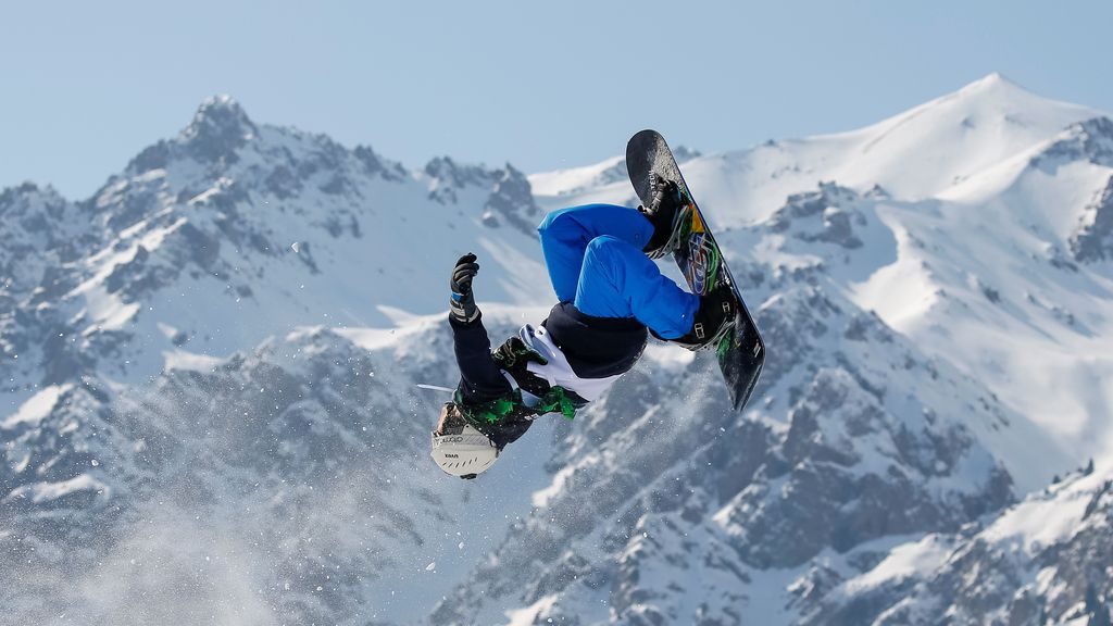 Gorilla Winter Jungle