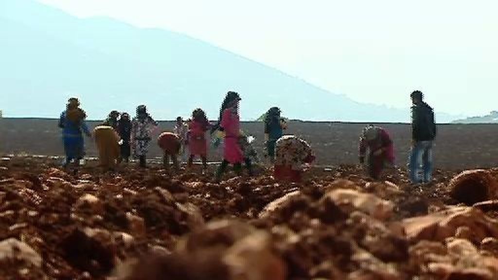 Las refugiadas sirias, entre comer o alimentar a sus hijos