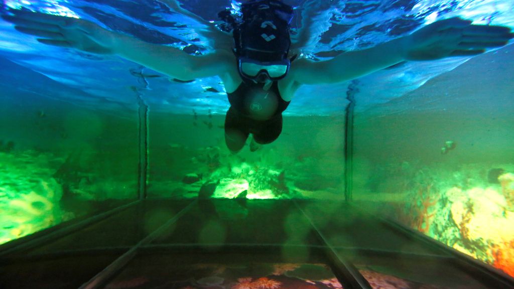 Natación virtual muy real