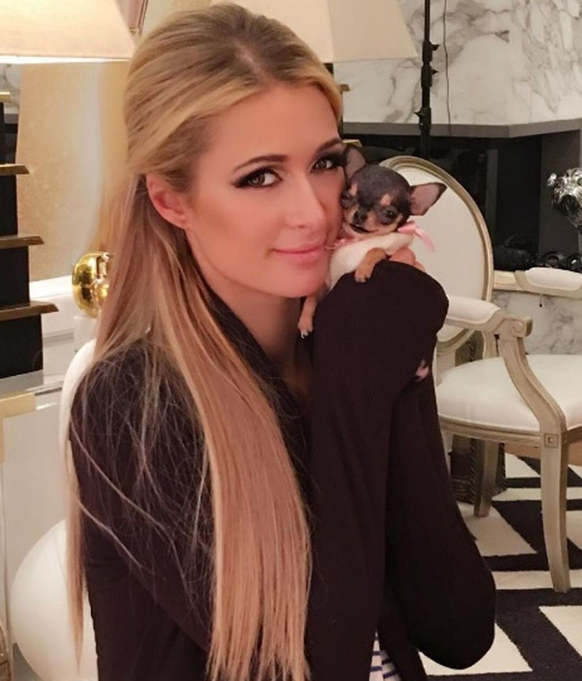 Ha costado 8.000 dólares y mide como tu mano: el nuevo chihuahua de Paris Hilton